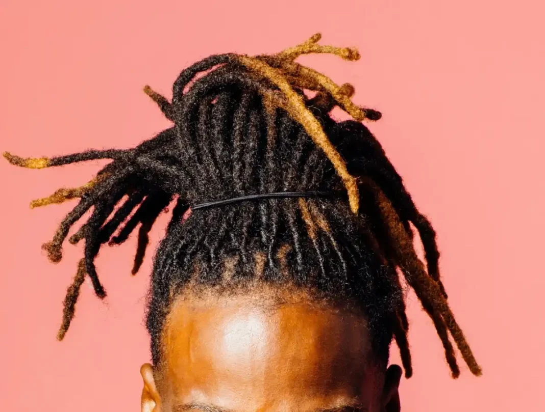 Soins Capillaires: 03 astuces pour bien entretenir vos dreadlocks